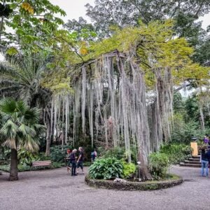 Jardín Botánico